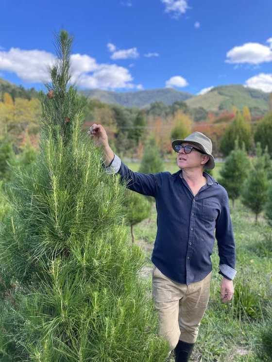 Checking a tree growing in the paddock